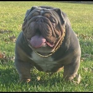 Meet your Posher, Aurelio